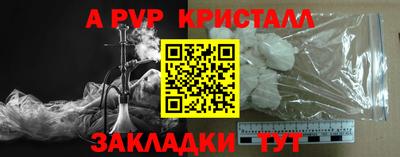 прущие грибы Рязань