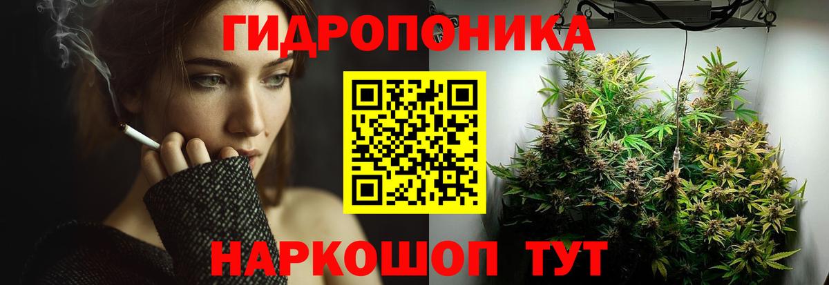 Канабис Bruce Banner Ртищево